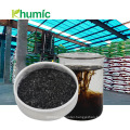 Compands Potassium Humate Granular Organic Fertilizer 100% water soluble